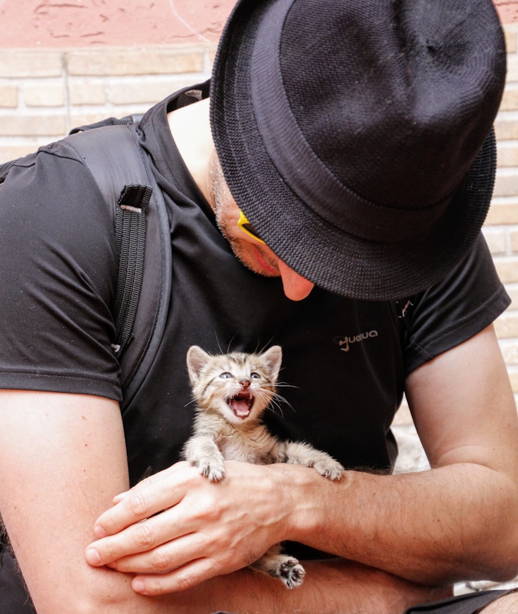 Nos Chats ressentent ils notre stress ?